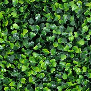 miyaya@ artificial hedge plant,greenery panels suitable for both outdoor or indoor use,garden,backyard and/or home decor,use as greenery walls or privacy screen (boxwood 20 x 20 inch (12 pack))