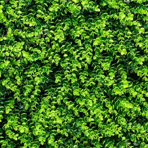 BestComfort 24PCS 24 inchesx16 inches Artificial Boxwood Panels, 64 Sq.ft Topiary Hedge Plant Privacy Screen, Patio Garden Privacy Fence Screen (24, inches), BComfort-70778-2OP