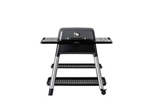 everdure force 2 burner gas grill, liquid propane portable bbq grill with die-cast aluminum body and fast-ignition technology, 388 square inches of grilling surface, adjustable height, graphite