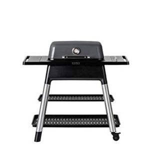 Everdure FORCE 2 Burner Gas Grill, Liquid Propane Portable BBQ Grill with Die-Cast Aluminum Body and Fast-Ignition Technology, 388 Square Inches of Grilling Surface, Adjustable Height, Graphite