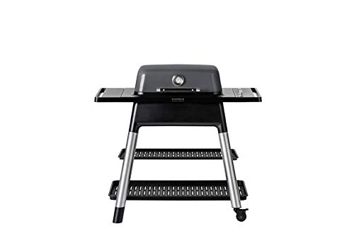 Everdure FORCE 2 Burner Gas Grill, Liquid Propane Portable BBQ Grill with Die-Cast Aluminum Body and Fast-Ignition Technology, 388 Square Inches of Grilling Surface, Adjustable Height, Graphite