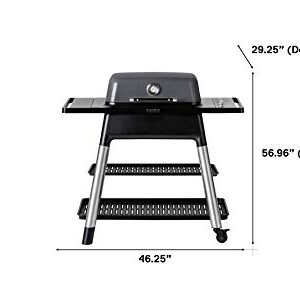 Everdure FORCE 2 Burner Gas Grill, Liquid Propane Portable BBQ Grill with Die-Cast Aluminum Body and Fast-Ignition Technology, 388 Square Inches of Grilling Surface, Adjustable Height, Graphite