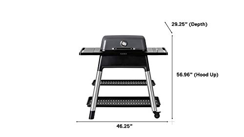 Everdure FORCE 2 Burner Gas Grill, Liquid Propane Portable BBQ Grill with Die-Cast Aluminum Body and Fast-Ignition Technology, 388 Square Inches of Grilling Surface, Adjustable Height, Graphite