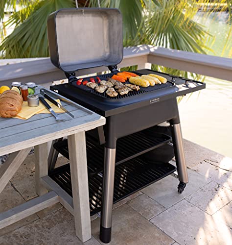 Everdure FORCE 2 Burner Gas Grill, Liquid Propane Portable BBQ Grill with Die-Cast Aluminum Body and Fast-Ignition Technology, 388 Square Inches of Grilling Surface, Adjustable Height, Graphite