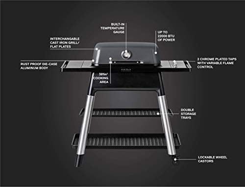 Everdure FORCE 2 Burner Gas Grill, Liquid Propane Portable BBQ Grill with Die-Cast Aluminum Body and Fast-Ignition Technology, 388 Square Inches of Grilling Surface, Adjustable Height, Graphite