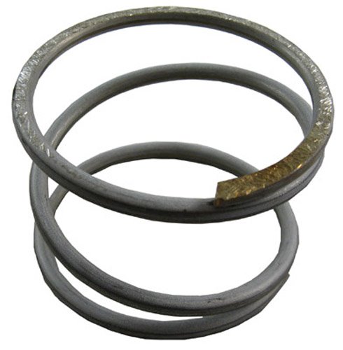 Pentair 178616 Compression Spring Replacement Pool and Spa Filter