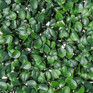 Artificial Boxwood Hedge, Faux Greenery Wall, Privacy Hedge Screen, UV Protected Faux Greenery Mats, Boxwood Wall, Suitable for Both Outdoor or Indoor (20x20 Inch DarkG_12pc)