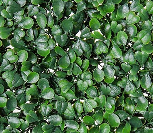 Artificial Boxwood Hedge, Faux Greenery Wall, Privacy Hedge Screen, UV Protected Faux Greenery Mats, Boxwood Wall, Suitable for Both Outdoor or Indoor (20x20 Inch DarkG_12pc)