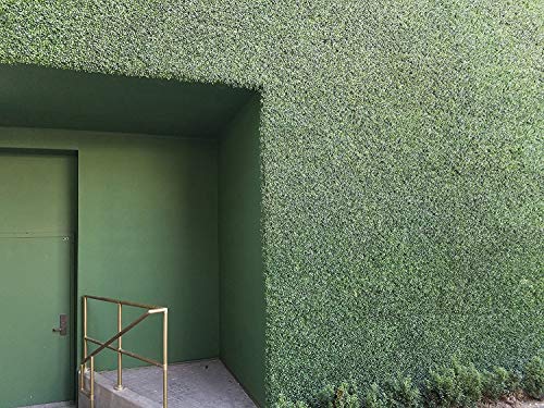 Artificial Boxwood Hedge, Faux Greenery Wall, Privacy Hedge Screen, UV Protected Faux Greenery Mats, Boxwood Wall, Suitable for Both Outdoor or Indoor (20x20 Inch DarkG_12pc)