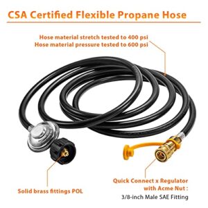 ArrogantF F271803 12ft Heater Propane Hose Compatible with Mr. Heater Big Buddy Heater with Regulator for Mr.Heater Hose to 5-20 LB Propane Tank 3/8”Quick Connect Disconnect Fitting to QCC1 Connection