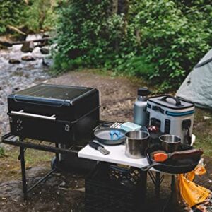 Traeger Grills Ranger Portable Wood Pellet Grill and Smoker, Black Small