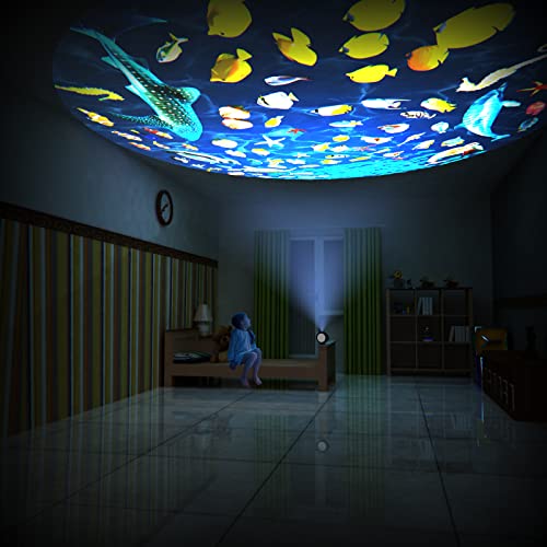 Star Projector Night Light, Aurora Galaxy Projector with White Noise and Timer, Warm Light Nursery Lamp and 7-Color Breathing Modes Lighting for Christmas, Ceiling, Room - 3 Films - Black