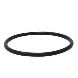 AppliaFit Lid O-Ring Compatible with Jandy Zodiac R0480200 for VS FloPro and FloPro FHPF and FHPM Series Pool Pumps (1-Pack)