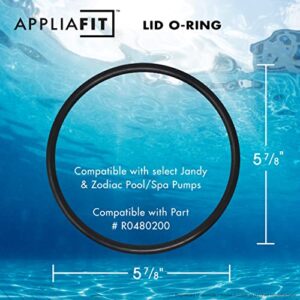 AppliaFit Lid O-Ring Compatible with Jandy Zodiac R0480200 for VS FloPro and FloPro FHPF and FHPM Series Pool Pumps (1-Pack)