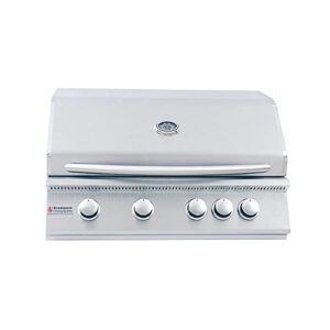 rcs premier series stainless steel 32 built-in grill with rear burner -natural gas