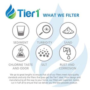 Tier1 Pool & Spa Filter Cartridge | Replacement for Freeflow Lagas FF-100, FC-2400, Pleatco PFF25TC-P4, SD-00206, Aladdin 12536 and More | 19 sq ft Pleated Fabric Filter