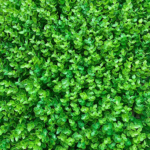 CNCEST 12pcs Artificial Simulation Boxwood Hedge Wall Plant Panel Waterproof Outdoor Plant Panels Grass Fence 60x40x4cm (12Pcs)