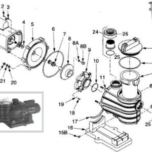 Tork Distributors Compatible with Sta-Rite (2 Pack) U9-362 Dyna-Wave Pool Pump Union & Filter Adapter O-Rings