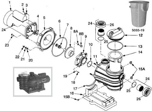 Tork Distributors Compatible with Sta-Rite (2 Pack) U9-362 Dyna-Wave Pool Pump Union & Filter Adapter O-Rings