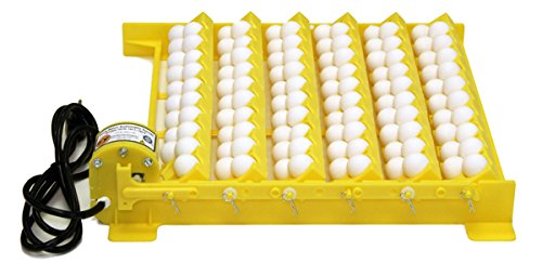 Hova-Bator GQF Automatic Egg Turner - Quail to Duck Egg