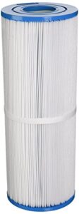 filbur fc-2375 antimicrobial replacement filter cartridge for rainbow/pentair dynamic 25 pool and spa filter