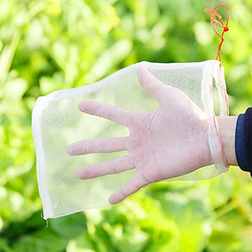 ANWUYANG 50Pcs Grape Protection Bag, Anti-Bird Moisture Insect Net Bag, Vegetable Fruit Protect Breeding Bag Prevent Fruit Tree Mosquitoes (Color : 20x30cm)