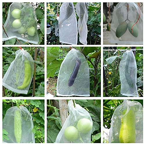 ANWUYANG 50Pcs Grape Protection Bag, Anti-Bird Moisture Insect Net Bag, Vegetable Fruit Protect Breeding Bag Prevent Fruit Tree Mosquitoes (Color : 20x30cm)