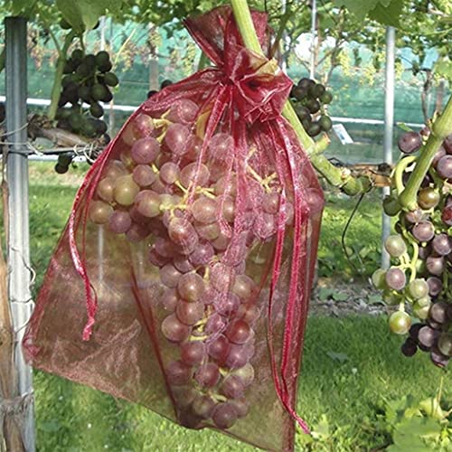 ANWUYANG 50pcs Fruits Plant Nursery Bags, Grapes Gardening Protection Drawstring Mesh Bag, Home Candy Pearl Storage Bag, 17x23cm (Color : Red)