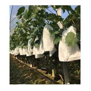 anwuyang 100pcs drawstring style grape protect bag, fruit protection bags mesh bag, agriculture against insect pouch (size : 240mm by 350mm)