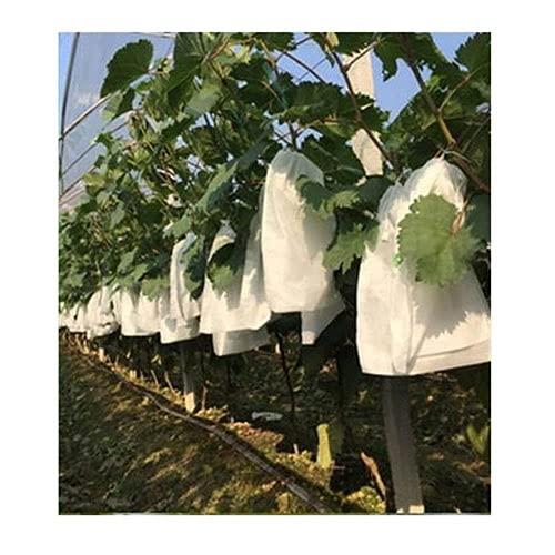 ANWUYANG 100Pcs Drawstring Style Grape Protect Bag, Fruit Protection Bags Mesh Bag, Agriculture Against Insect Pouch (Size : 240mm by 350mm)