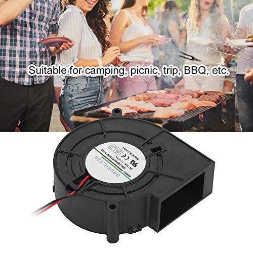 Portable BBQ Fan DC 12V Air Turbo Blower for Barbecue Picnic Camping Fire Charcoal Starter Cooking Tool