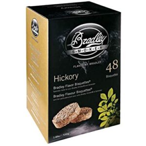 Bradley Smoker Bisquettes For Grilling and BBQ, Pecan Special Blend, 48 Pack