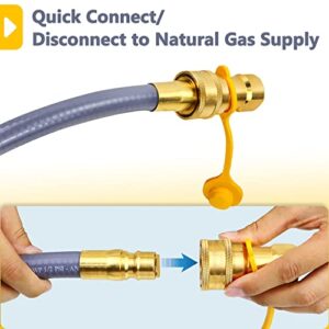 12FT Natural Gas Conversion Kit，52066 Gas Conversion Kit，65,000 BTU Natural Gas Hose and Regulator Compatible with Grill Kitchen Auxiliary Gas Grill