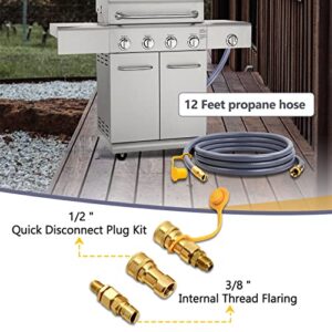 12FT Natural Gas Conversion Kit，52066 Gas Conversion Kit，65,000 BTU Natural Gas Hose and Regulator Compatible with Grill Kitchen Auxiliary Gas Grill