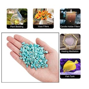 AHANDMAKER Natural Turquoise Chip Beads, 2/3 Pound Polished Tumbled Gemstone Chips Undrilled Crystals for Decoration