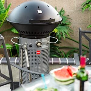 Fuego F24C Professional Propane Gas Grill