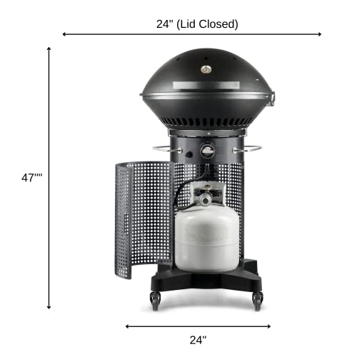 Fuego F24C Professional Propane Gas Grill