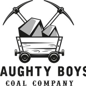 Naughty Boys Coal Company 10 Pounds Anthracite Nut Coal Used for Black Smithing, Heating, Gifts Fire Savers