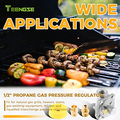 TEENGSE 1/2" Natural Gas and Liquefied Interchange Pressure Regulator, Natural Gas Pressure Regulator with 2 Brass 1/2" NPT conversion adapter for NG/LPG Applications