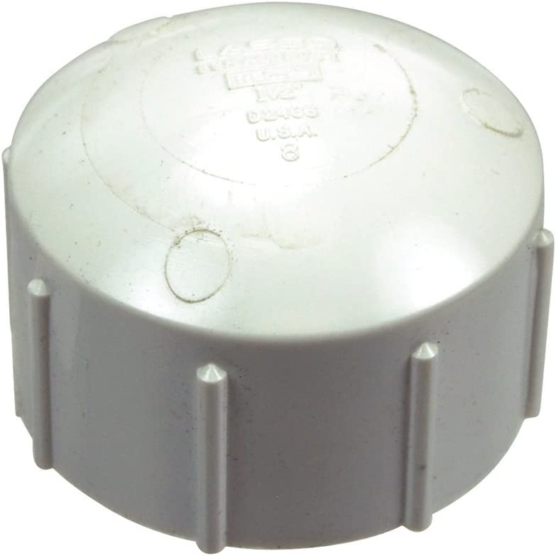 Pentair 154871 1-1/2-Inch Threaded Cap Replacement for Pool and Spa Sand Filter