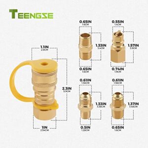 TEENGSE 3/8inch Natural Gas Quick Connect Fittings, Propane Gas Grill Quick Connector Adapter kit, LP Gas Propane Hose Quick Disconnect Set, Brass Tube Fitting for Gas Grill, Patio Heater