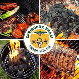 Springbok Braai Best Charcoal Briquettes for Grilling - All Natural Hardwood Briquettes Charcoal for Smoker, Outdoor BBQ Grill - High Heat, Long Lasting, Economical, Sustainable Acacia Wood,1x5 lb Box