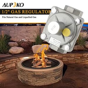 Aupoko 1/2" Natural Gas Pressure Regulator with Sealing Ring, Interchange Pressure Regulator with 1/2" FPT Thread Fits Natural Gas and Liquefied Gas, NG 4" WC Out/LPG 10" WC Out