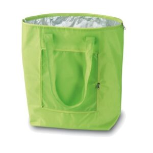 ebuygb folding cooler bag, 21.59 x 11.99 x 4.5999999999999801 cm, lime green
