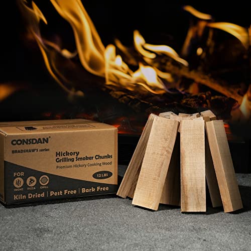 CONSDAN Wood Chips for Smoker, USA Grown Hickory Pizza Oven Wood, BBQ Cooking Natural Wood Chunks, Kiln Dried Firewood, Smoking Wood Chips, All Natural Barbecue Smoker Blocks for Smoking Meat (12 LBS)