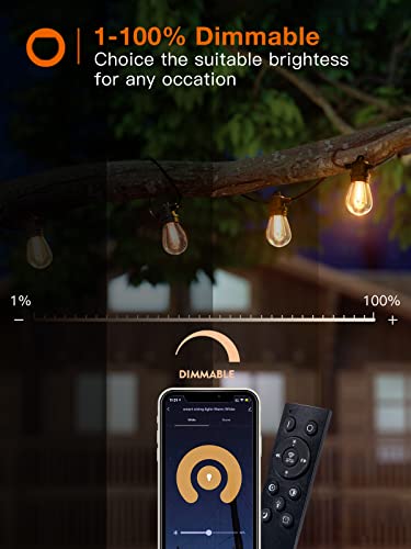 addlon 48FT Smart Outdoor String Lights with APP & Remote Control, Works with Alexa, Music Sync Waterproof Patio Lights with Dimmable Edison Shatterproof Bulbs, Extendable for Patio, Porch