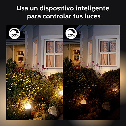 Philips Hue Ludere White Outdoor Security Light, Outdoor Wall Fixture & 2 Hue PAR38 LED Smart Bulbs (Requires Hue Hub, Works with Alexa and More)