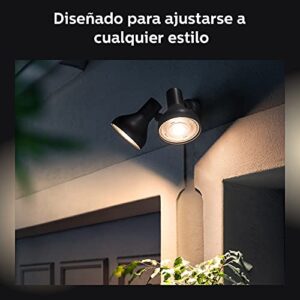 Philips Hue Ludere White Outdoor Security Light, Outdoor Wall Fixture & 2 Hue PAR38 LED Smart Bulbs (Requires Hue Hub, Works with Alexa and More)