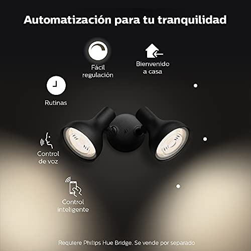Philips Hue Ludere White Outdoor Security Light, Outdoor Wall Fixture & 2 Hue PAR38 LED Smart Bulbs (Requires Hue Hub, Works with Alexa and More)