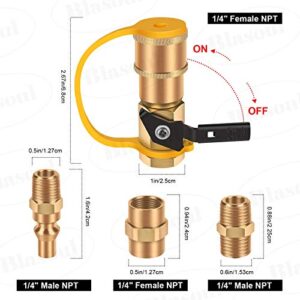 Blasoul 1/4" Quick Connect Propane Hose Adapter For RV To Grill or Cooking, Connecting RV To Any Propane Source, Includes 1/4" Female Shutoff Valve &Full Flow Plug & 1/4" Male NPT &1/4" Female NPT